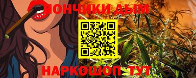 амф Новодвинск