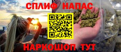амф Новодвинск