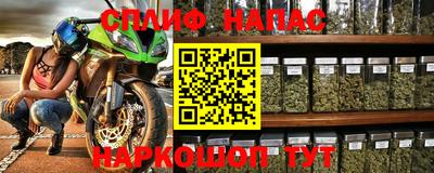 амф Новодвинск