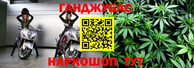 амф Новодвинск